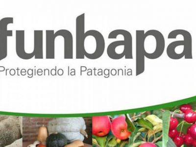 ATE para por 72 horas y levanta las barreras de control sanitario
