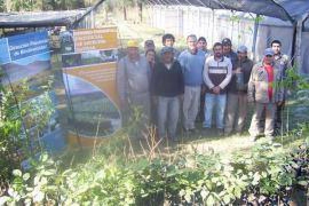 Entrega de �rboles a los departamentos Pom�n y Ambato