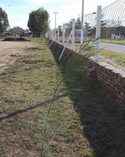 La forestaci�n lleg� al predio del ferrocarril de Tornquist