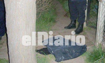 Villa Rosa: encuentran feto en plena calle