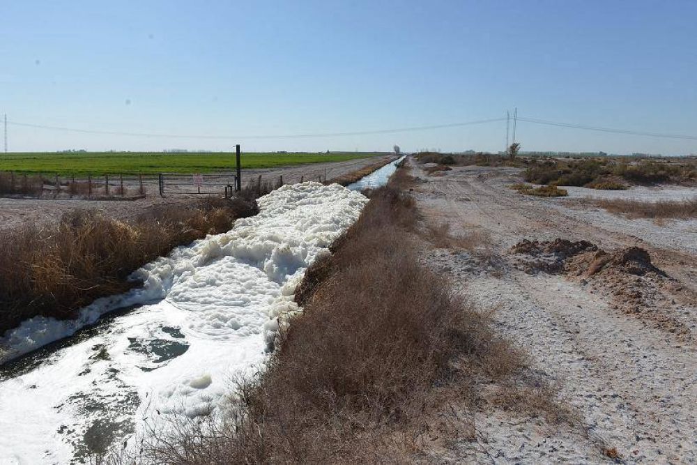 Mendoza lidera en el pa�s el riego de cultivos con l�quidos cloacales tratados
