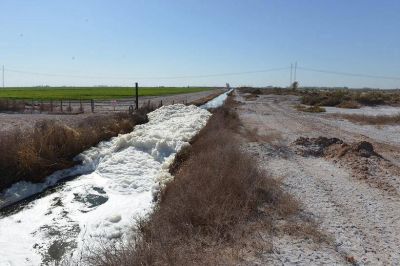 Mendoza lidera en el pa�s el riego de cultivos con l�quidos cloacales tratados