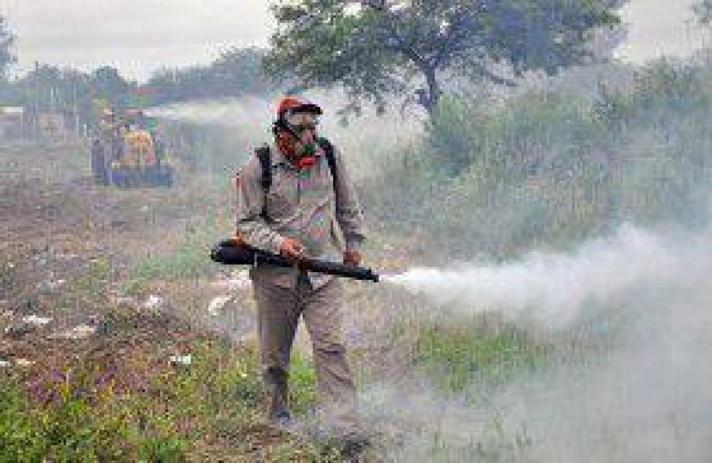 La Municipalidad realiza trabajos de fumigaci�n