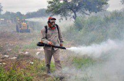 La Municipalidad realiza trabajos de fumigaci�n
