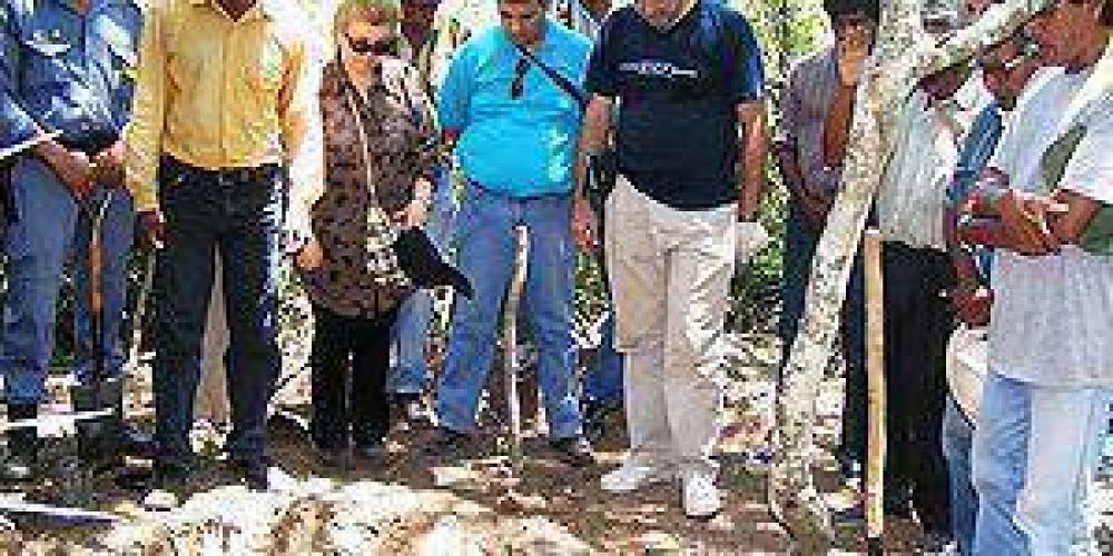 Rinc�n Bomba: siguen muriendo los testigos