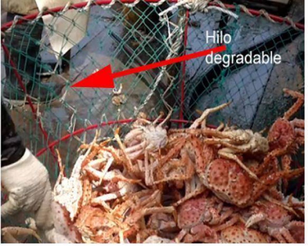Consideran a Santa Cruz como pionera en �pesca fantasma�