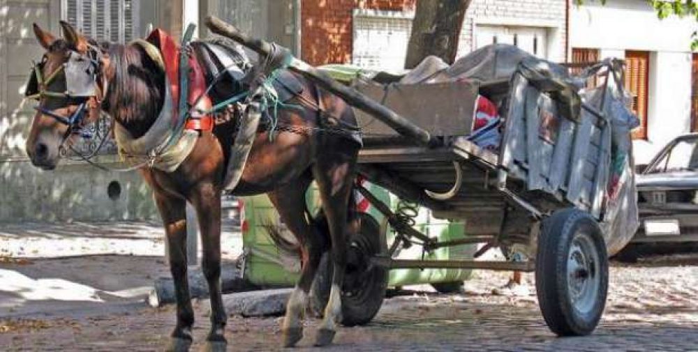 Los carreros del microcentro se llamar�n 