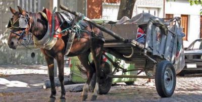 Los carreros del microcentro se llamar�n 