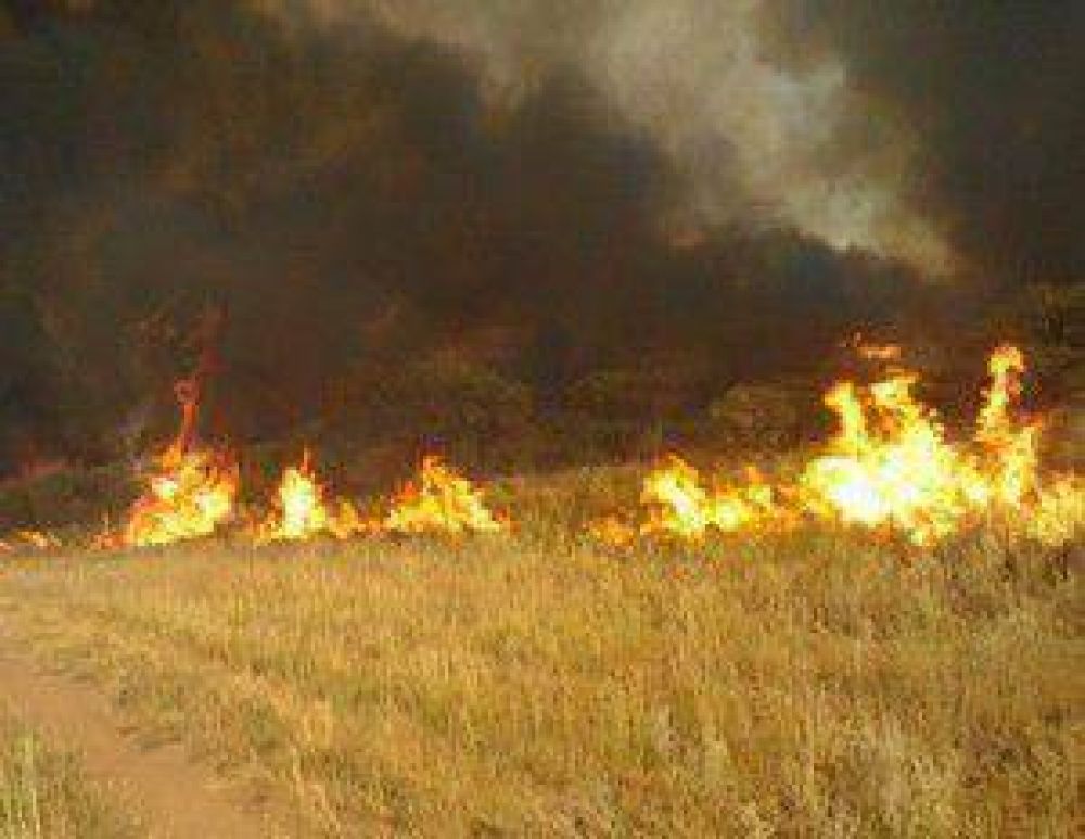  Presentaron acciones y materiales para la prevenci�n y el combate del fuego