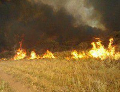  Presentaron acciones y materiales para la prevenci�n y el combate del fuego