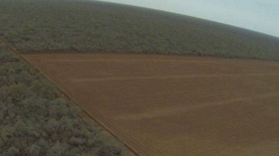 Se desmontaron 112.000 hect�reas protegidas Ley de Bosques