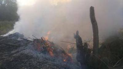 En dos meses se registraron 22 incendios forestales