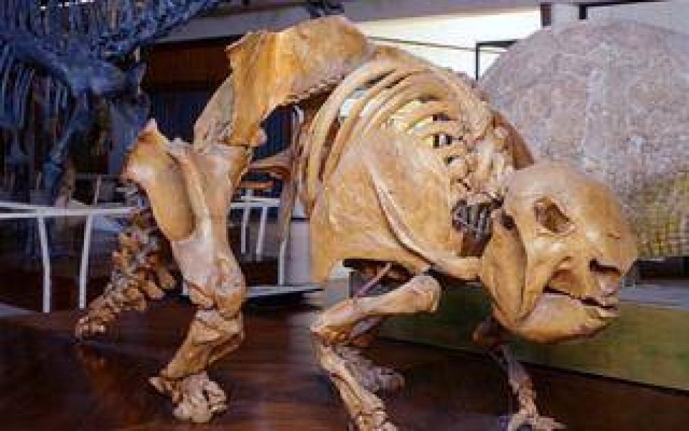 La Plata: Presentan libro y documental sobre paleontolog�a en la regi�n pampeana