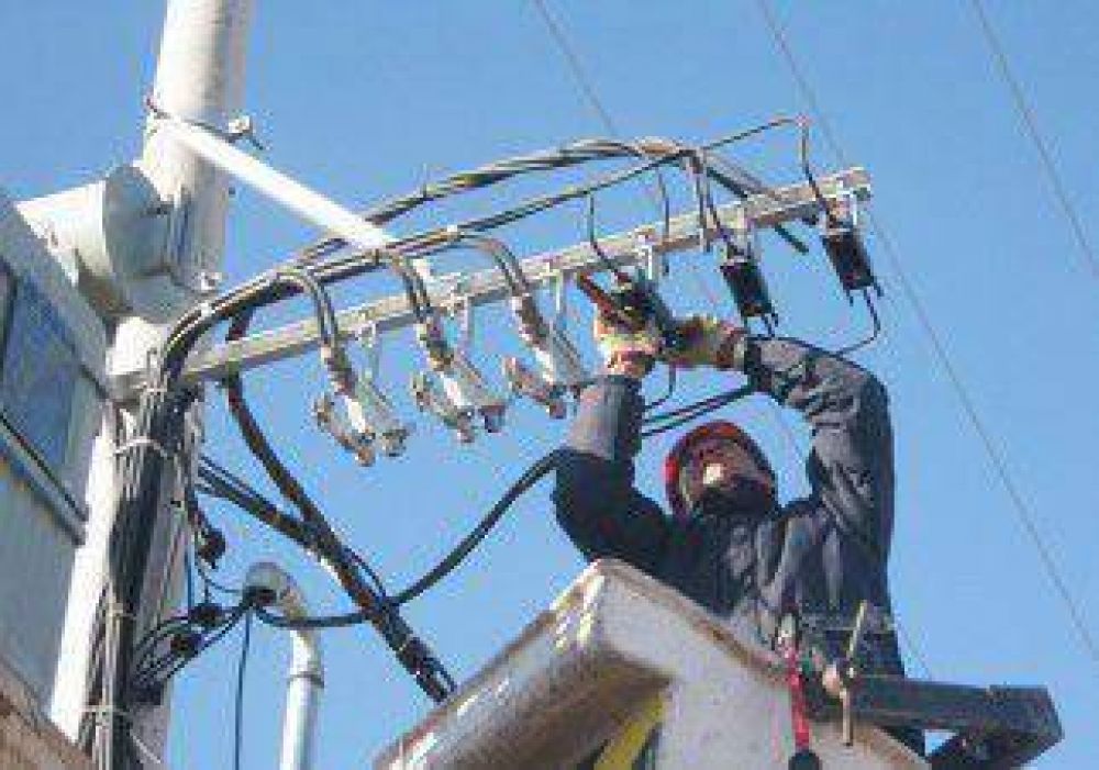 Siete barrios sin luz por la ca�da de una rama 