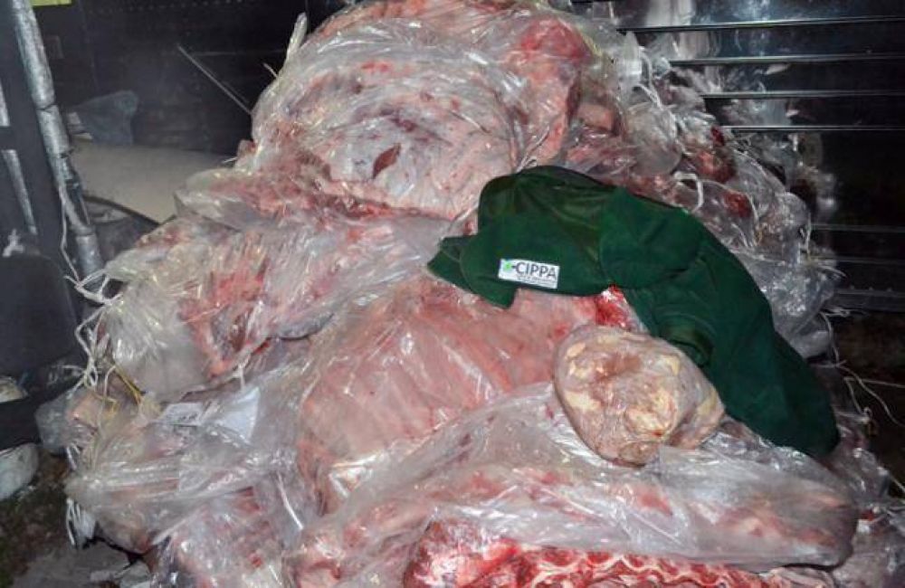 Decomisaron 4,5 toneladas de carne ilegal