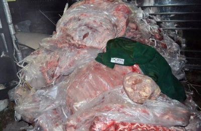 Decomisaron 4,5 toneladas de carne ilegal