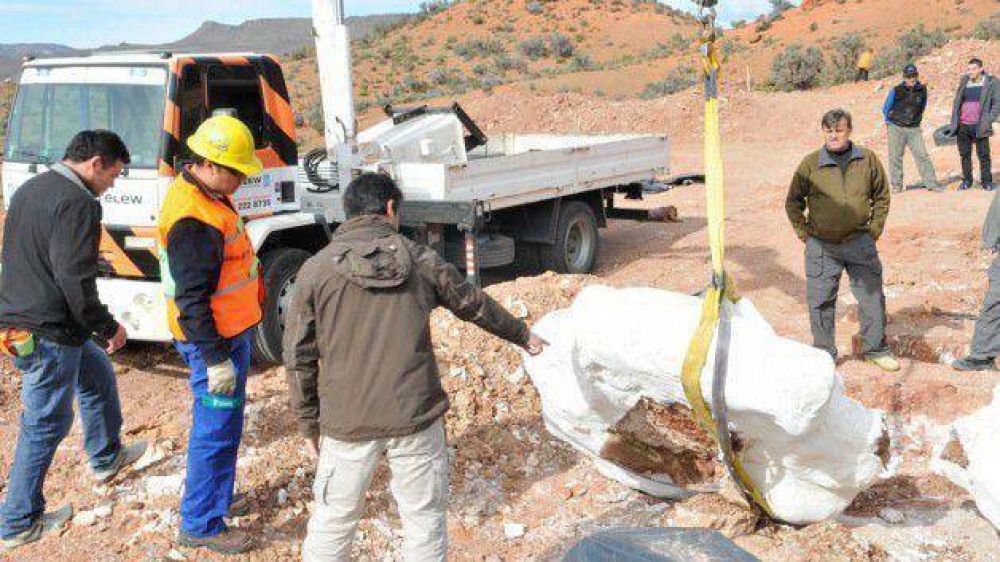 P�rez Cat�n y cient�ficos encabezaron operativo para traer Trelew restos �seos del dinosaurio m�s grande del mundo