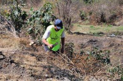 Desmalezar�n m�s de 13 mil metros en la zona del r�o Arenales