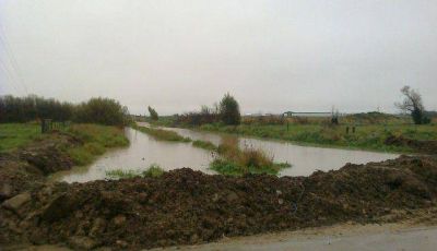 Temporal: cortes y medidas preventivas para evitar problemas
