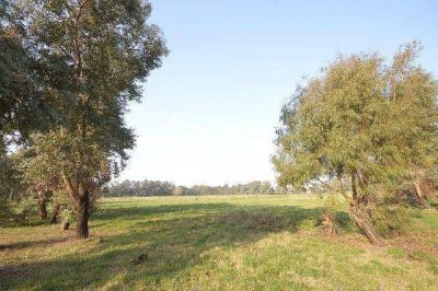 Avanza el Pro.Cre.Ar en la S�ptima