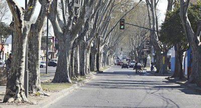 Pavimentaci�n sin licitar