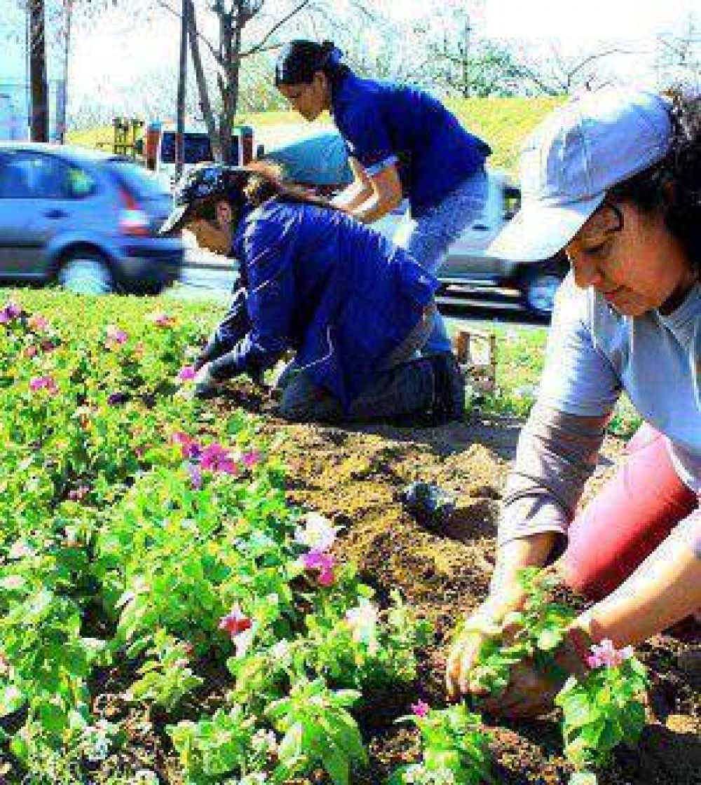 Con canteros bien coloridos, la ciudad se prepara para recibir la primavera 