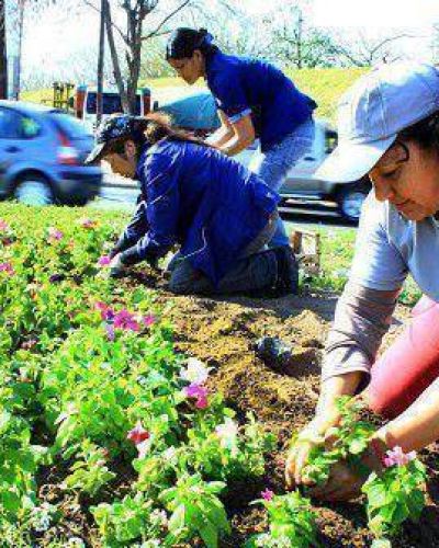 Con canteros bien coloridos, la ciudad se prepara para recibir la primavera 