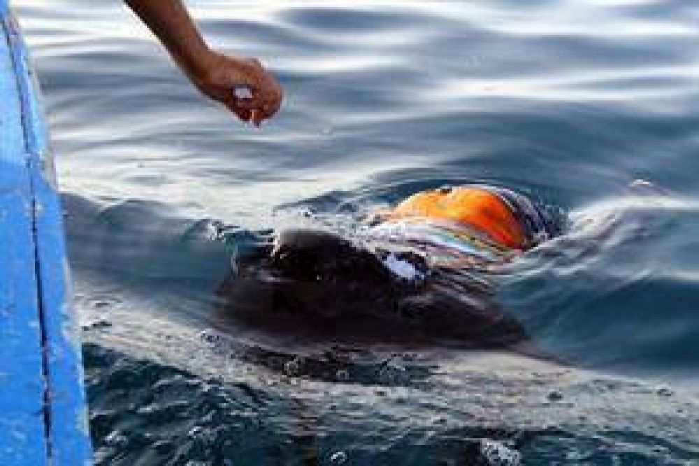 Tr�gico naufragio de ilegales en las costas de Libia: 200 desaparecidos