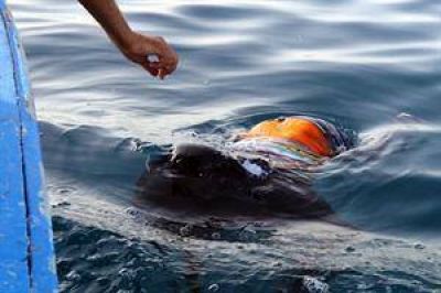 Tr�gico naufragio de ilegales en las costas de Libia: 200 desaparecidos