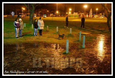 �La situaci�n tiende a normalizarse�