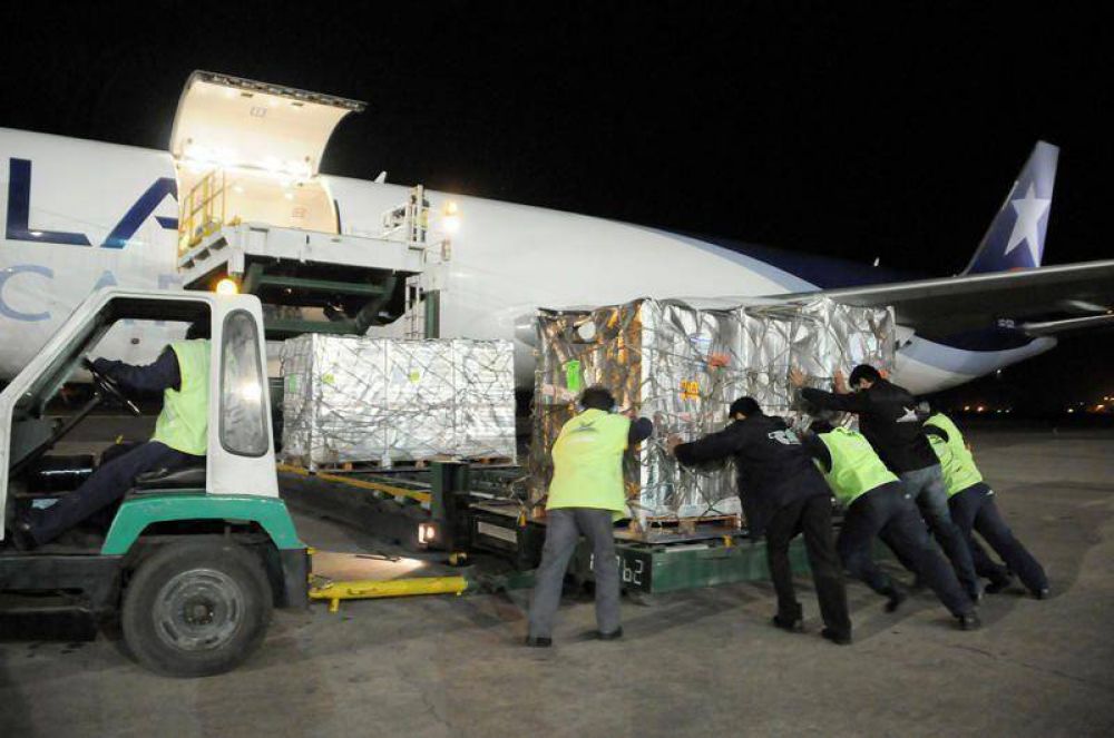 Alperovich estima que los ar�ndanos se embarcar�n en unos 70 vuelos 