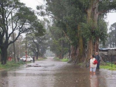M�s de un centenar de evacuados y lanzan campa�a solidaria