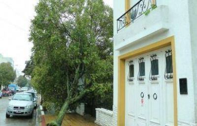 Con r�fagas de viento de alrededor de 95 kil�metros, se registraron ca�das de �rboles y de postes