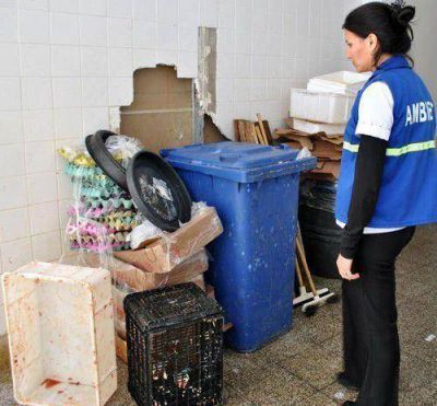 Clausuran un comercio y decomisan 75 kgs. de carne en mal estado