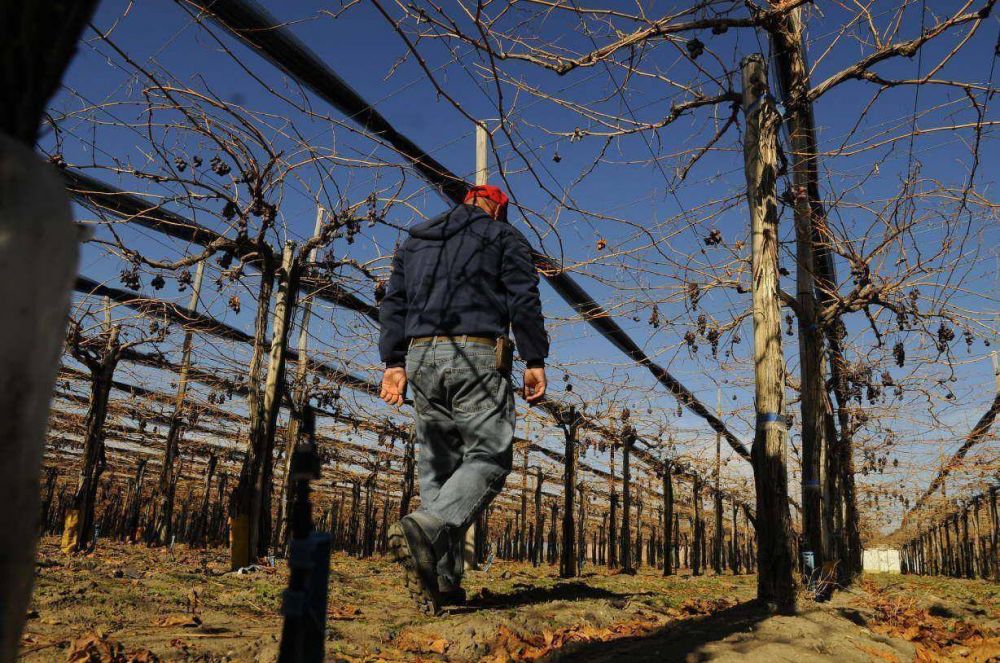 Cooperativas vitivincolas piden estirar pago de crditos