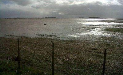 Coinciden en que el temporal dificultar� a las cosechas 