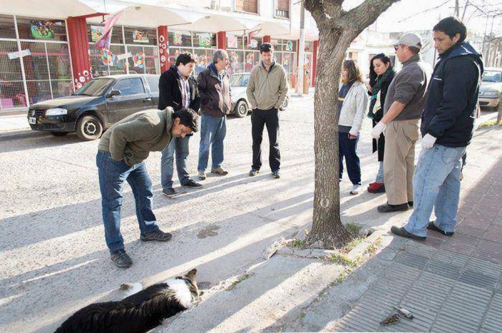 El Municipio ampli� la denuncia por envenenamiento de perros