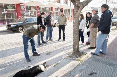 El Municipio ampli� la denuncia por envenenamiento de perros