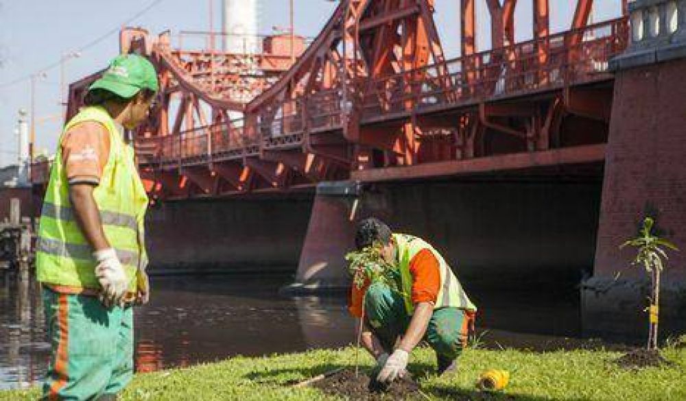 Plantaron �rboles en la ribera del Riachuelo