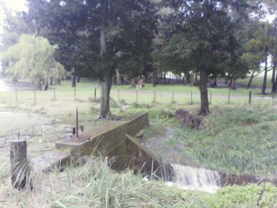 Emergencia hidr�ulica: Otra lluvia barre con m�s barrios en Mar del Plata