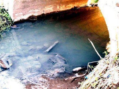 Los contaminadores no hicieron paro este jueves
