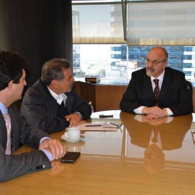 Prev�n incluir en el programa REPRO al sector olivicola y vitivinicola