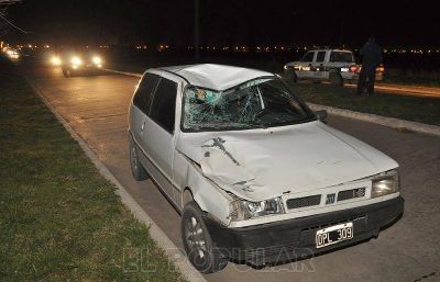Un autom�vil choc� a un caballo