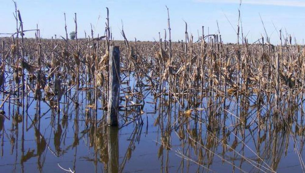 Campos bajo agua desde hace 6 meses