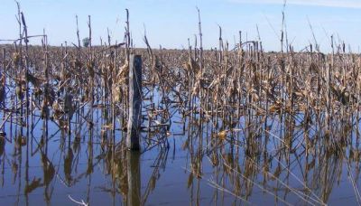 Campos bajo agua desde hace 6 meses