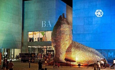 El Lobo Marino del Museo del Mar cambia su pelaje de �alfajores�