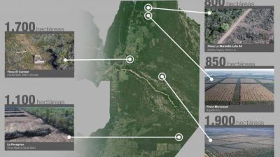Piden a Naci�n instrumentar las medidas para que Salta cumpla con la Ley de Bosques