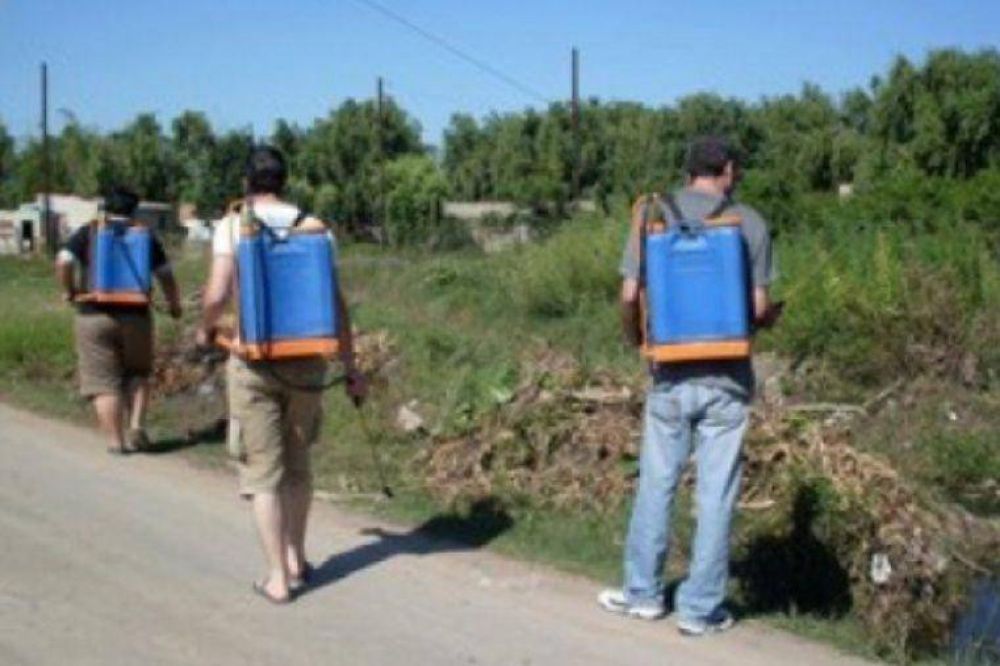 Esta semana se reanudan las tareas de fumigaci�n en toda la ciudad