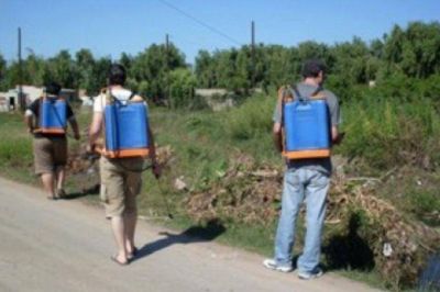 Esta semana se reanudan las tareas de fumigaci�n en toda la ciudad