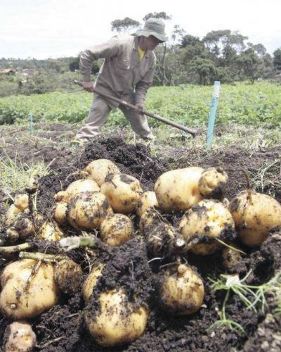 La mayor�a de los j�venes de las chacras no termina el secundario